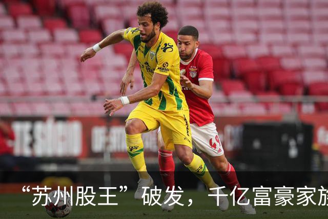 “苏州股王”破发，千亿富豪家族押中的风口不灵了？
