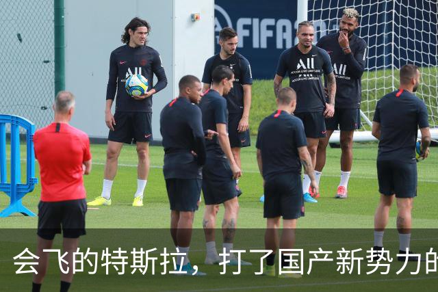 会飞的特斯拉，打了国产新势力的脸