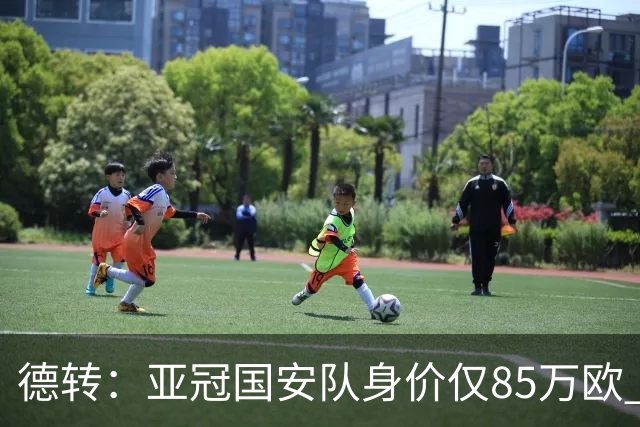 德转：亚冠国安队身价仅85万欧 川崎前锋是其26倍