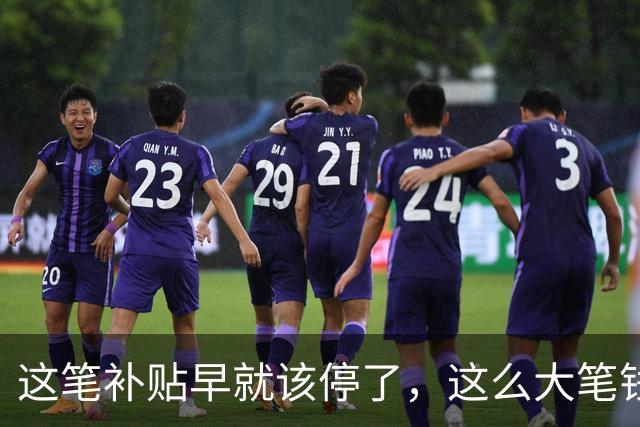 这笔补贴早就该停了，这么大笔钱让利国内老百姓不香吗？