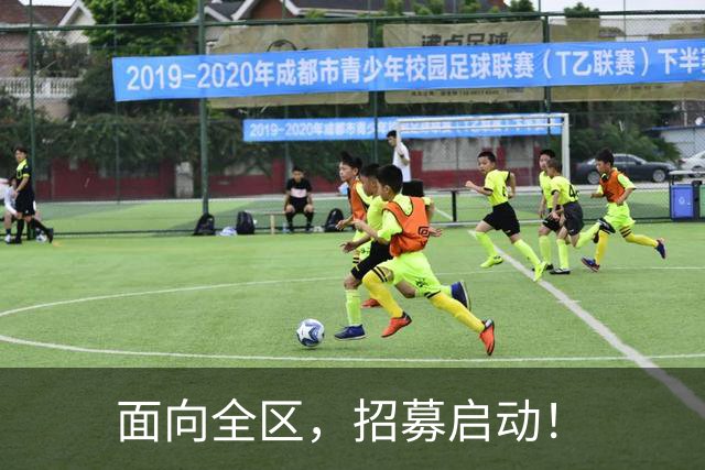 面向全区，招募启动！