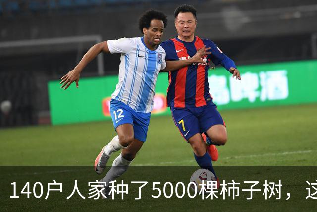 140户人家种了5000棵柿子树，这个浙江小村国庆6天来了8万人